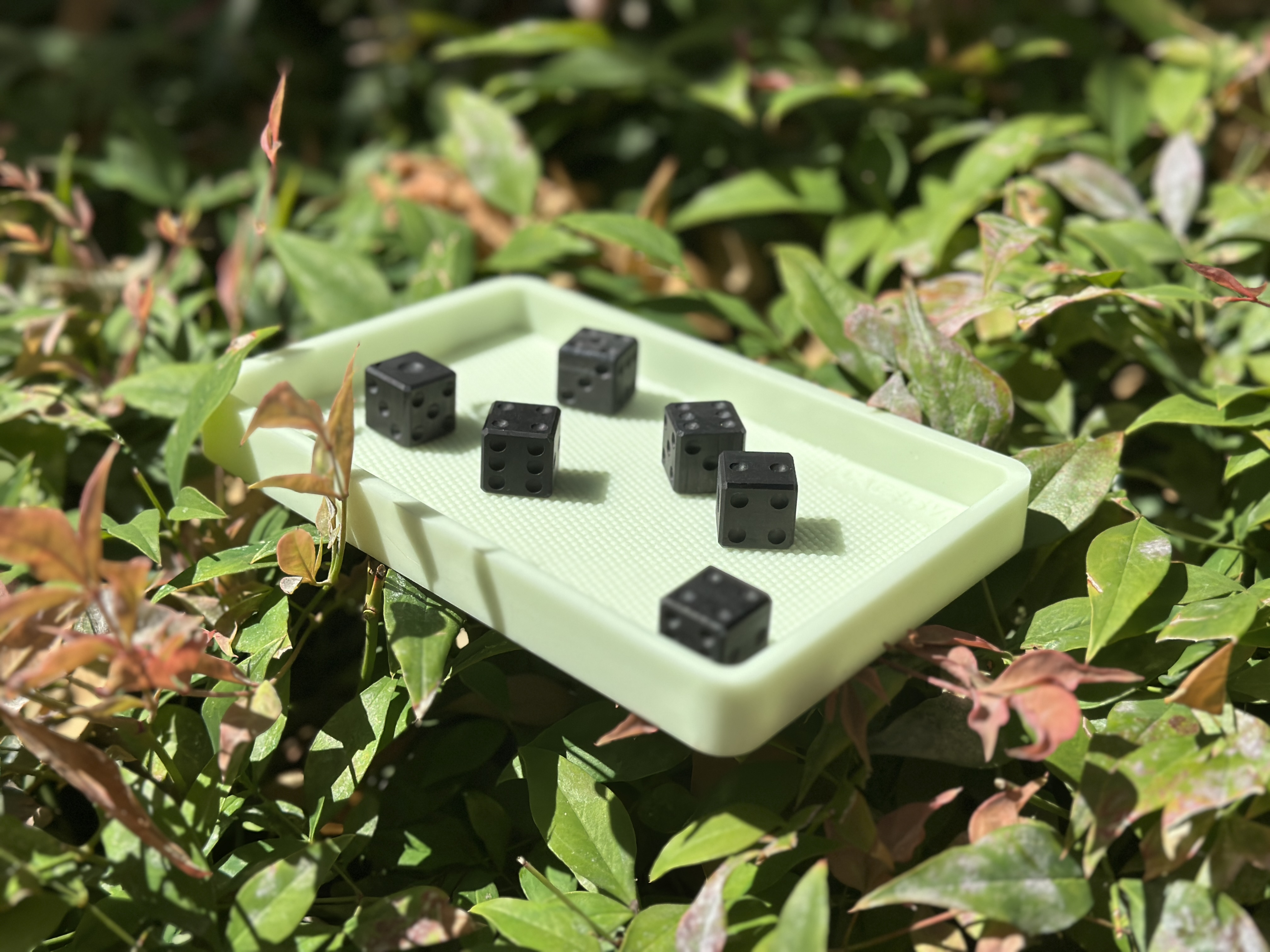 Pair-A-Dice - Carbon Fiber Dice Set - Limited Edition!