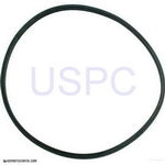 StaRite Max-E-Glas II / Dura-Glas II Pump Components| Parts| 7D O-Ring, Insert, Dura/Maxi II (Pre-98)(O-113)