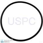 StaRite Dyna-Glas/Dyna-Max Pump Components| Parts| #13 Trap Cover O-Ring(O-12)