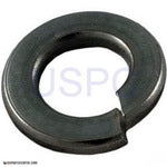 StaRite JWPA Series Pump| Parts| #22 Lock Washer