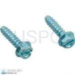 Hayward Northstar SP 4000X Pump Series (Max rated)| Parts| #15 MTG FOOT CAP SCREW-SET 2