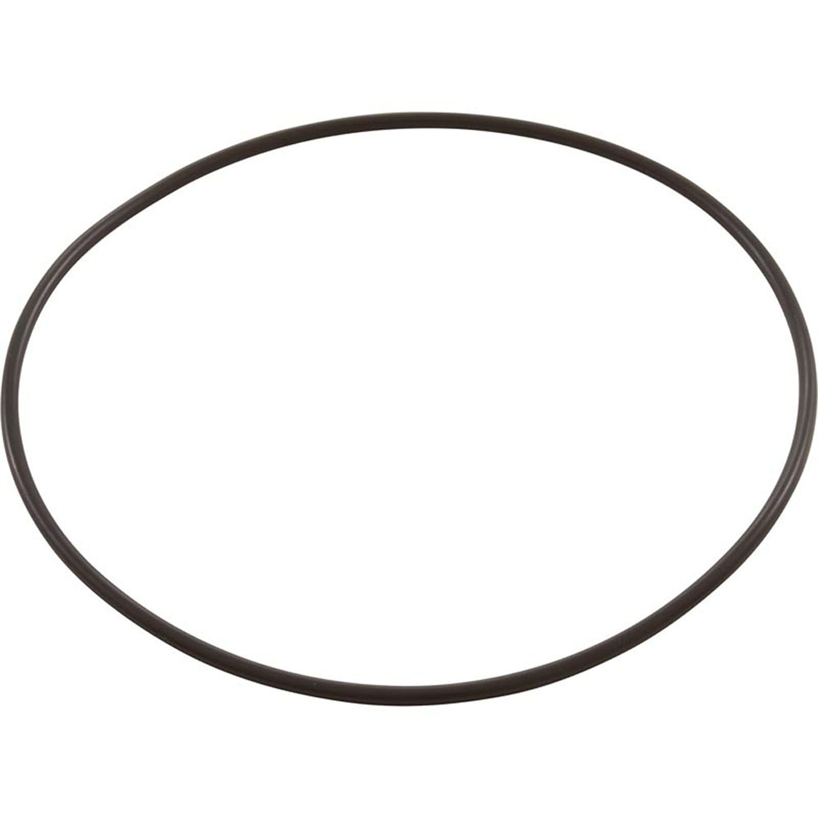 CMP Leaf Canister Lid O-Ring [11" x 9"] (58309-000-020)