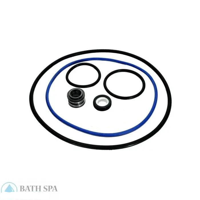 Aladdin Go Kit #66 [Hayward Northstar Pump 4000 Series (Prior 2003)] (GO-KIT66)