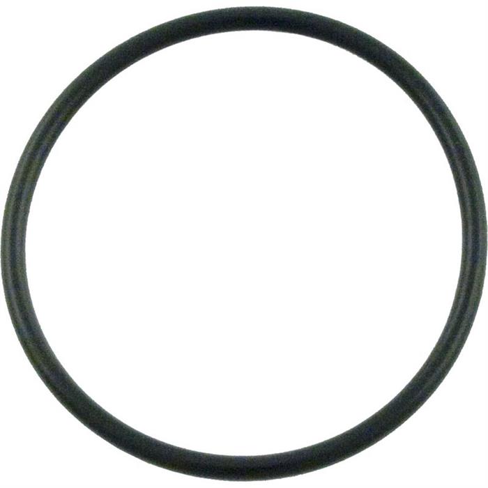 O-Ring, Pentair PacFab, Pump/Filter Union, O-301